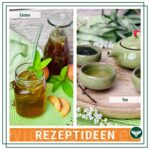 Azafran BIO Gyokuro Tee - Premium Grüntee 125g