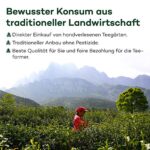Bi Luo Chun Bio Grüner Tee, Premium China (100g)