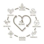 BIO Ceylon Zimt 450g im Premium Glas