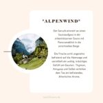 Bio-Kräutertee Alpenwind, loser Tee, 30g