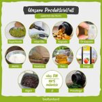 BIO Matcha Pulver 200g - 100% natürlich