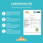 Bio Matcha-Tee-Pulver - Zeremonie-Qualität aus Japan