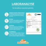 Bio Sencha Tee, 100g, Ernte aus Japan