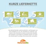 Bio Sencha Tee, 100g, Ernte aus Japan