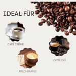 Blank Roast Sante BIO entkoffeiniert Kaffeebohnen - 1000g