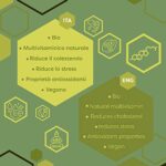 ERBOTECH BIO Matcha Tee, Premium Qualität 100g