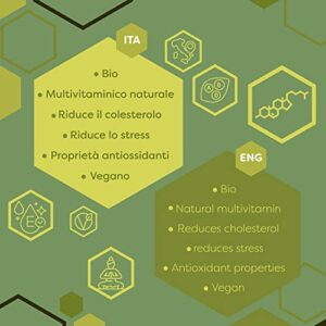 ERBOTECH BIO Matcha Tee, Premium Qualität 100g