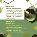 ERBOTECH BIO Matcha Tee, Premium Qualität 100g