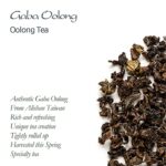 Gaba Oolong Tee aus Taiwan - Bio