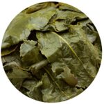 GOARTEA Bio Fujian Anxi Oolong Tee 1000g