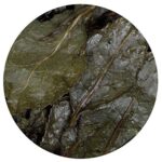 GOARTEA Oolong Tee Taiwan Ginseng 250g