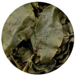 GOARTEA Premium Tung Ting Grüner Oolong Tee 250g