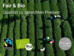 Guangxi Jasmin Bio-Tee 1000 g – Hochwertiger Grüntee