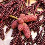 MeerBach & Rose Sumach Gewürz 100g, türkisch, natürlich, handabgefüllt