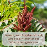 MeerBach & Rose Sumach Gewürz 100g, türkisch, natürlich, handabgefüllt