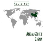 Milky Oolong Tee - 100g Premium von KLUIZ TEA