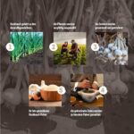 Monte Nativo Knoblauchpulver (500 g) - Küchengewürz