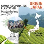 ORIGEENS BIO MATCHA - Japanischer Grüntee, 30g