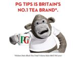 PG Tips Schwarzer Tee, 300 Beutel-Packung