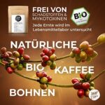 360° Rundum Ehrlich Premium Bio Kaffeebohnen, 100% Honduras Arabica, 1kg