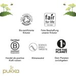 Pukka Bio Kräutertee Set, 5 Varianten, 30 Teebeutel