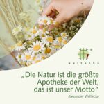 Regulato Bio-Basen-Tee, 49 Kräuter, 250g Deutschland