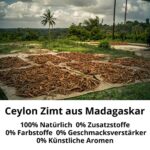 Spicebar - Bio Ceylon Zimt, gemahlen, Madagaskar (300g)