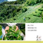 Taiwan Einzigartiger Tee, Dongding Oolong, 150g*4