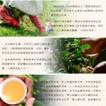 Taiwan Einzigartiger Tee, Dongding Oolong, 150g*4