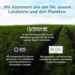 VAHDAM, Himalaya Grüner Tee (100 Pyramiden Teebeutel)