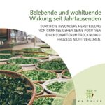 Weltecke Bio-Grün-Tee 300g | Frisch, Veganer Detox
