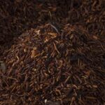 Bremer Gewürzhandel Rooibos-Tee Vanille, 100g