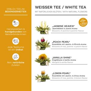 Creano Teelini Teeblumen-Geschenkset, 4 Sorten, 12 Stück