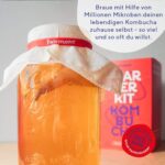 Fairment Original Kombucha Tee Pilz - Premium Größe