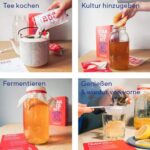 Fairment Original Kombucha Tee Pilz - Premium Größe