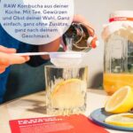 Fairment Original Kombucha Tee Pilz - Premium Größe