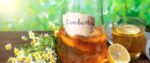 HeldenPilz® Bio Kombucha Scoby + Ansatzflüssigkeit
