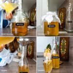 Kombucha Brauset mit Bio-SCOBY und Zubehör
