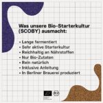 Kombucha Brauset mit Bio-SCOBY und Zubehör