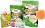 Kombucha-Komplett-Set mit Bio-Teepilz, Premium Qualität