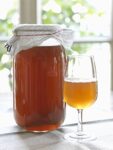 Kombucha-Komplett-Set mit Bio-Teepilz, Premium Qualität