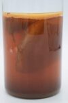 Kombucha Teepilz Scoby Produkt