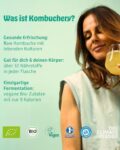KOMBUCHERY® Mixpaket 6 Sorten Bio-Kombucha