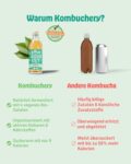 KOMBUCHERY® Mixpaket 6 Sorten Bio-Kombucha