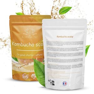KombuChic | Kombucha Scoby Starter-Set + eBook
