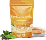 KombuChic | Kombucha Scoby Starter-Set + eBook