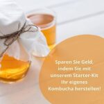 KombuChic | Kombucha Scoby Starter-Set + eBook