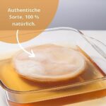 KombuChic | Kombucha Scoby Starter-Set + eBook