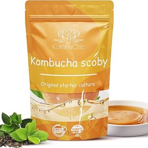 KombuChic | Kombucha Scoby Starter-Set + eBook