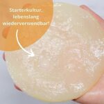 KombuChic | Kombucha Scoby Starter-Set + eBook